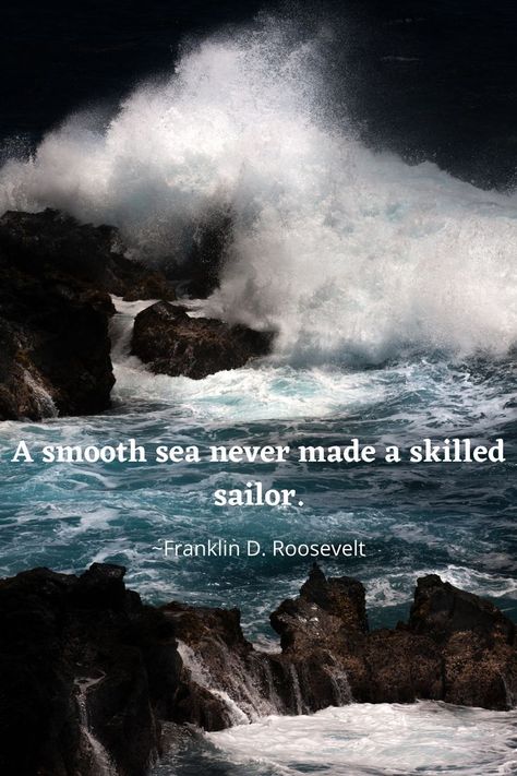 Shark Quotes, Sailor Quotes, Sea Quotes, Roosevelt Quotes, Franklin D Roosevelt, Military Quotes, Sea Captain, Shark Tattoos, English Reading