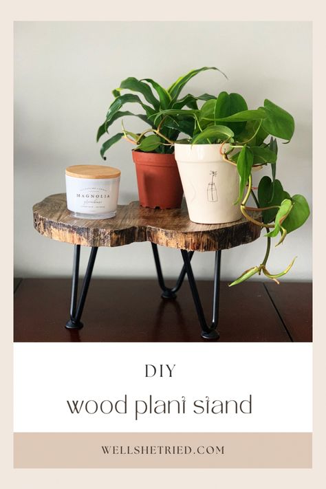 Build A Plant Stand Easy Diy, 3 Leg Plant Stand Diy, Diy Stool Plant Stand, Bar Stool Plant Stand Diy, Welcome Plant Stand Diy, Wood Slice Centerpieces, Rustic Plant Stand, Dog Bowl Stand, Wooden Plant Stands