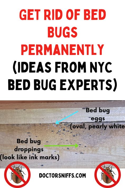 bed bug droppings, bed bug eggs with the text: Get Rid of Bed Bugs Permanently (ideas from NYC bed bug experts) Bed Bugs Essential Oils, What Kills Bed Bugs, Bed Bug Remedies, Bedbugs Removal, Bed Bug Trap, Signs Of Bed Bugs, Get Rid Of Bed Bugs, Bed Bug Spray, Bug Spray Recipe