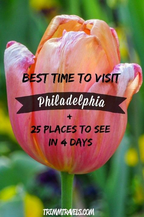 The City of Brotherly Love is quite...well, lovable! With endless amounts of things to do, Philly will pique your interest and keep you on your toes. But, when should you go? Use this guide to find out the best time to visit Philadelphia and see these 25 Philadelphia Travel, Beautiful Places In Usa, Visit Philly, Visit Philadelphia, Visit Usa, Destinations Travel, Usa Travel Guide, Us Destinations, Brotherly Love