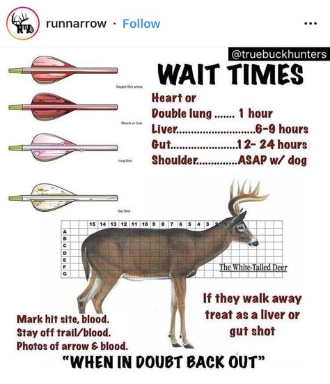 Deer Hunting Essentials, Deer Shot, Bow Hunting Gear, Whitetail Deer Pictures, Bow Hunting Deer, Hunting Essentials, Deer Hunting Season, Whitetail Deer Hunting, Deer Hunting Tips