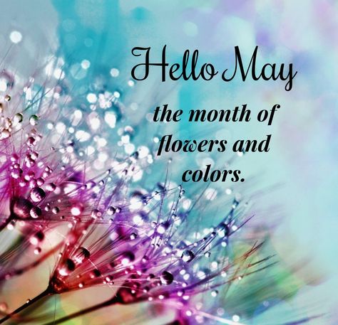 May Chapter 5 Of 12 Month, Welcome May Quotes Month, Hello May Month Quotes, Welcome May Month, Hello May Month, May Month Quotes, Hello June Quotes, May Images, Hello May Quotes