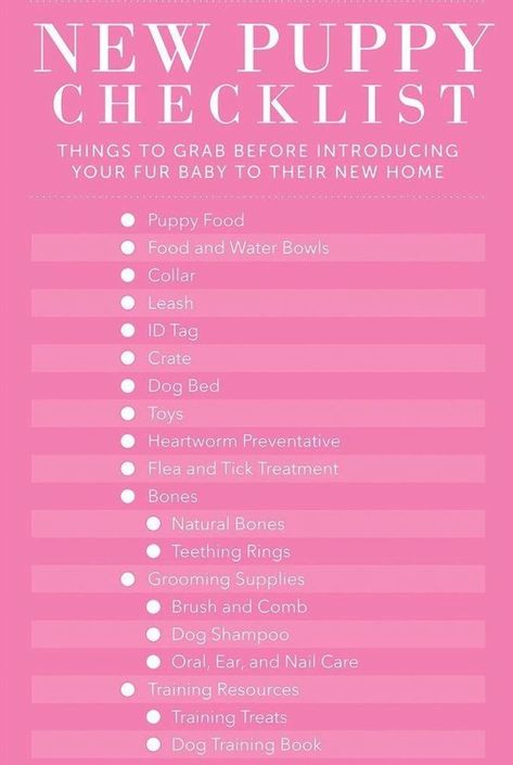 Puppy Proofing House Ideas, Puppy Proofing House, Puppy Set Up Ideas, House Training A Puppy, Home Checklist, Training A Puppy, Puppy Development, New Puppy Checklist, Puppy Checklist