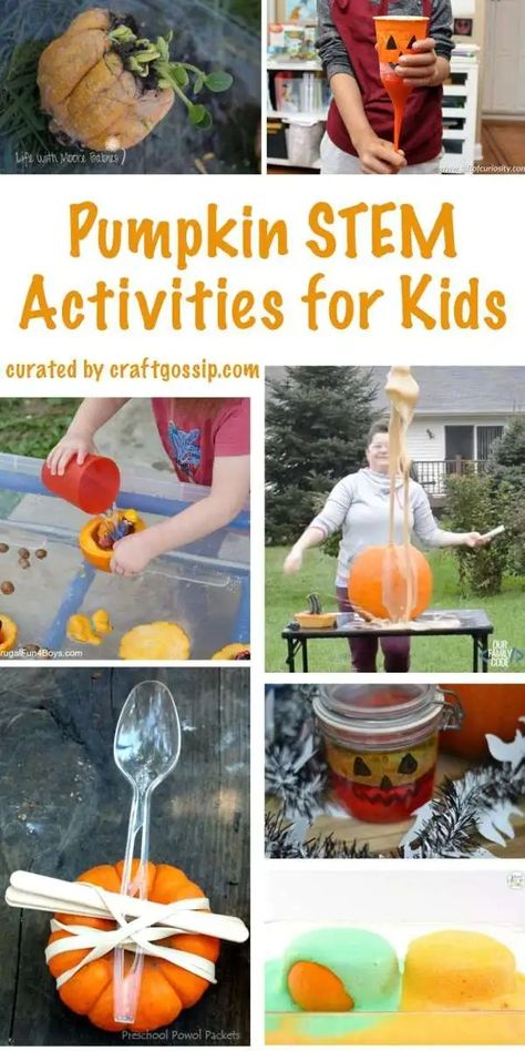 Pumpkin STEM Activities for Kids – Lesson Plans Apple Stem Activities, Pumpkin Stem Activities, Pumpkin Lessons, Pumpkins Preschool, Pumpkin Science, Stem Activities For Kids, Pumpkin Inspiration, Brain Craft, Fall Produce