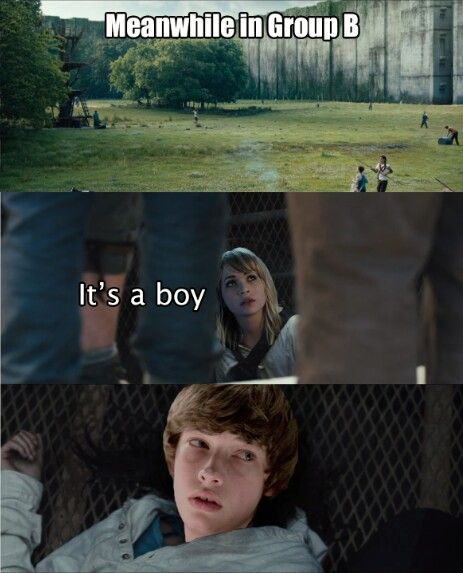 It's a boy! Memes About Girls, Maze Runner Thomas, Maze Runner The Scorch, Maze Runner Trilogy, Maze Runner Funny, Maze Runner Cast, James Dashner, Maze Runner Movie, Newt Maze Runner