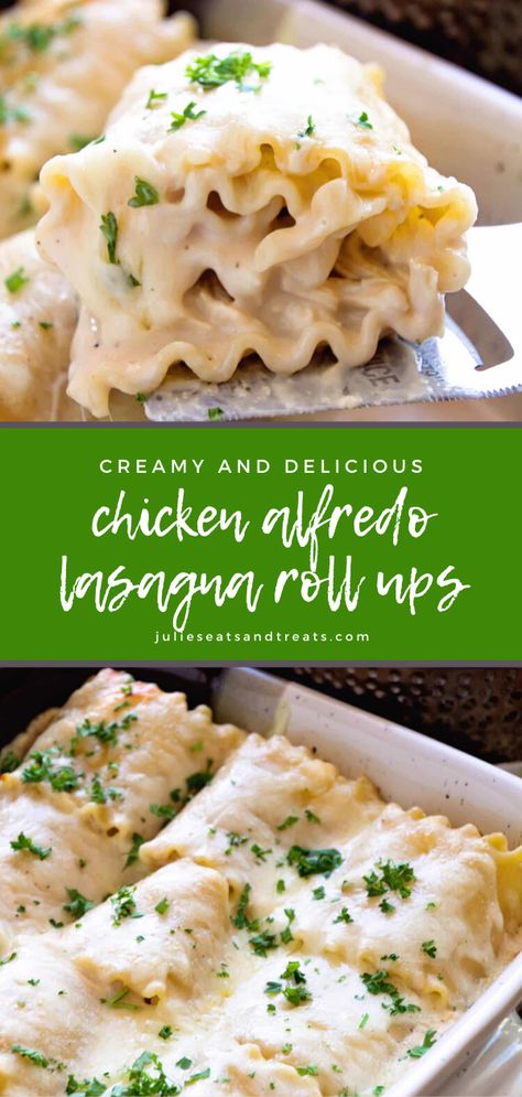 Chicken Alfredo Roll Ups, Chicken Alfredo Lasagna Roll Ups, Alfredo Roll Ups, Alfredo Lasagna Roll Ups, Fetuccini Alfredo, Lasagne Roll Ups, Chicken Alfredo Lasagna, Alfredo Lasagna, Lasagna Roll Ups