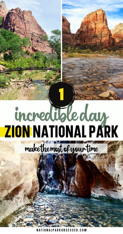 Trip To Zion National Park, Utah National Parks Road Trip, Bryce National Park, Zion Park, National Park Passport, Utah Vacation, Utah Road Trip, Zion National Park Utah, National Park Vacation