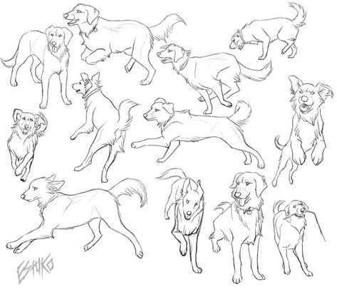 Golden Retriever Drawing Tutorial, Dog Sketch Reference, Dogs Playing Drawing, Golden Retriever Reference, Dog Playing Drawing, Dog Poses Drawing, Dog Running Drawing, Dog Poses Reference, Dog Reference Drawing