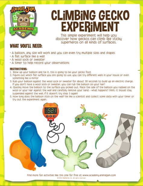 Gecko Experiment - Animal Jam Academy Gecko Preschool Activities, Rainforest Science Experiments For Kids, Animal Science Experiments, Homeschool Science Experiments, Sixth Grade Science, Animal Experiments, Engineering Art, Science Week, Summer Science