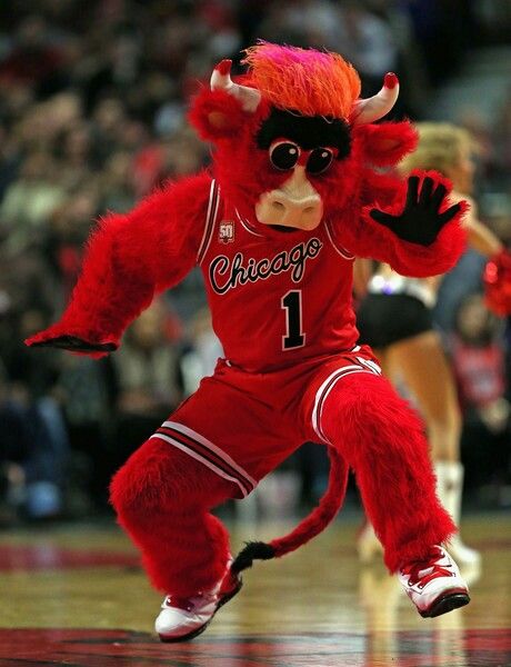 Benny the Bull Chicago Bulls mascot Benny The Bull, Bulls Wallpaper, No Crying In Baseball, Basketball Players Nba, Arcade Game Room, Chicago Sports, Basketball Leagues, Customer Relationship Management, Different Sports