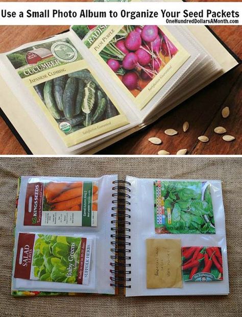 نباتات منزلية, Garden Ideas Cheap, Have Inspiration, Home Vegetable Garden, Seasonal Garden, Food Garden, Seed Packets, Easy Garden, Planting Vegetables