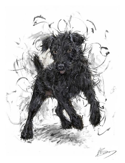 Itchy Dog, Patterdale Terrier, Cute Cartoon Pictures, Dog Daycare, Dog Mama, Watercolor Animals, Portrait Art, Painting & Drawing, Cute Cartoon