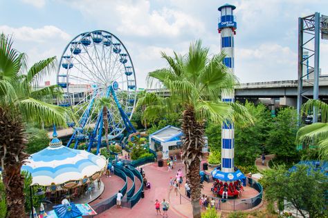 Why You Need to Visit Houston's Downtown Aquarium with Kids Downtown Houston Aquarium, Aquarium Mural, Houston Aquarium, Andy Pandy, Family Vacations In Texas, Texas Attractions, Visit Houston, Public Aquarium, Amazing Aquariums