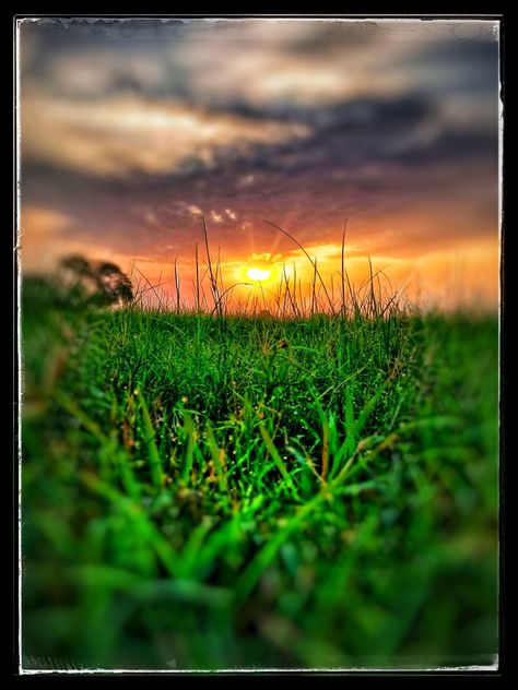 Shinning sun and dew All Begraund, Nature Photography Good Morning, Sun Background For Editing, Morning Background Wallpapers, Natural Background For Editing, Morning Background, Dslr Blur Background, Photoshop Backgrounds Backdrops, Nature Background Images