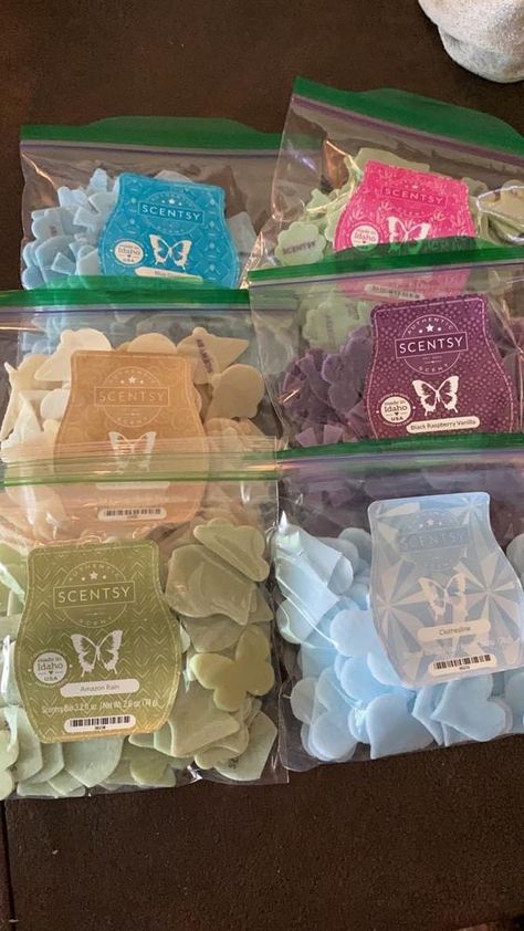 Scentsy Kit Ideas, Scentsy Organization Ideas, Scentsy Bundle Ideas, Scentsy Office Ideas, Scentsy Vendor Display Ideas, Scentsy Gift Basket Ideas, Scentsy Sample Ideas Bags, Scentsy Storage, Scentsy Mail