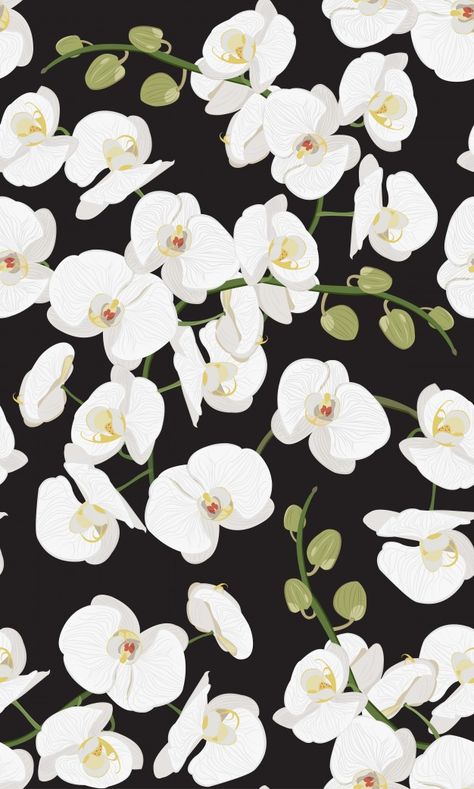 Orchid Wallpaper Backgrounds, Orchid Print Pattern, Summer Prints Pattern, Flower Repeat Pattern, Orchid Wallpaper, Orchid Drawing, Orchid Pattern, White Flower Pattern, Flower Print Pattern