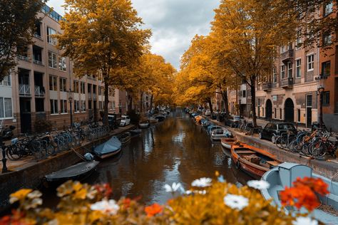 Autumn In Europe, 2 Days In Paris, Amsterdam Wallpaper, Best Restaurants In Paris, Lego Wallpaper, Amsterdam Photos, Huawei Wallpapers, Xiaomi Wallpapers, Paris Restaurants