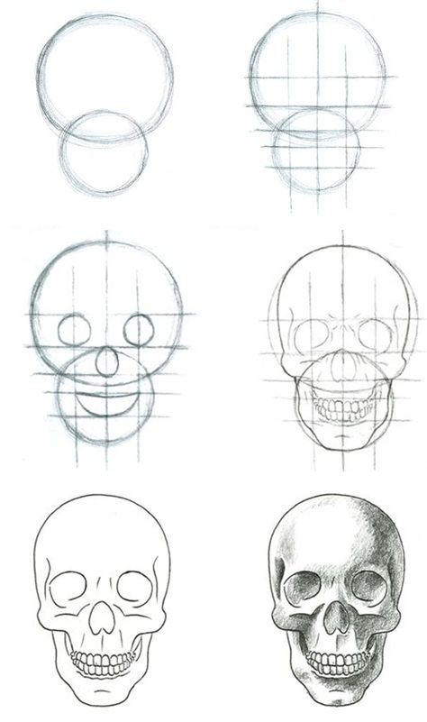 Skull Sketch, Arte Doodle, Skeleton Drawings, Skull Art Drawing, Drawing Lesson, Skulls Drawing, Easy Drawings Sketches, Skull Drawing, Pencil Art Drawings