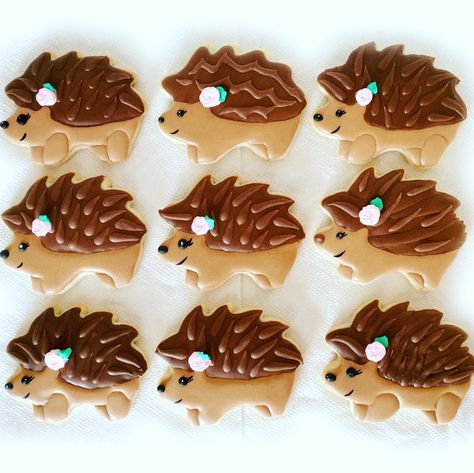 Hedgehog Cookies Royal Icing, Hedgehog Cookies Decorated, Hedgehog Party, Hedgehog Cookies, Icing Techniques, Cracker Cookies, Unicorn Cookies, Sugar Cookie Designs, Sugar Sugar