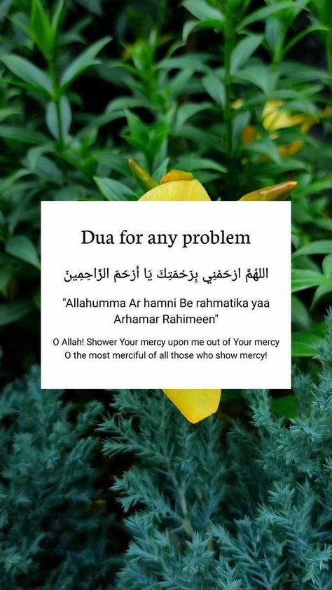 Dua For Any Problem, Dua For All Problems, Dua To Have A Good Day, Dua For Problems, Dua For Family Problems, Dua For Wish Come True, Dua For Stressful Times, Daily Duas Islamic Quotes, Dua For Him Quotes