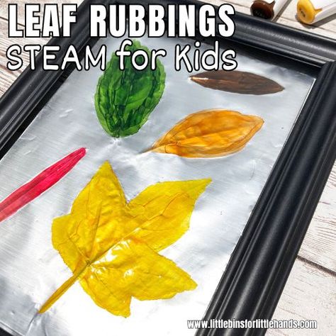 How to make leaf rubbings for kids with a few simple supplies and step by step instructions. Great fall theme art project! Leaf Rubbing Art, Thanksgiving Stem Activities, Leaf Rubbing, Leaf Rubbings, Thanksgiving Stem, Pumpkin Science, Halloween Activities Preschool, Autumn Leaves Craft, Leaf Projects