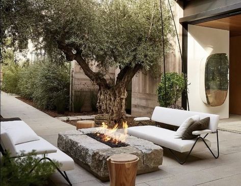 Clements Design, Outdoor Stone Fireplaces, Outdoor Fire Pit Designs, Stone Fire Pit, Outdoor Stone, Fire Pit Designs, Backyard Inspo, Backyard Fire, Olive Tree