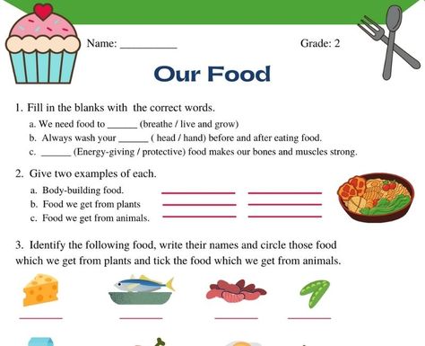 Worksheet on our food for class 2. Download our food class 2 science worksheet based on the latest cbse syllabus including fill in the blanks questions, questions on give examples, identifying the food which we get from plant and animals, long questions and answers and more. The Food We Eat Worksheet, Evs Worksheet For Class 2 Food, Class 2 Evs Worksheets, Food We Eat Worksheet For Grade 1, Evs Worksheet For Class 1 Food, Food Worksheets For Grade 1, Evs Worksheet For Class 3, Evs Activity For Class 2, Subject Worksheet