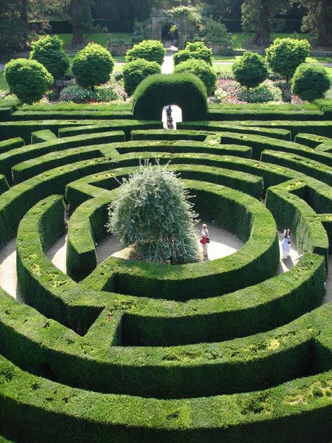 Chatsworth maze garden in England. Weird dream to go into a maze garden. Maze Garden, Amazing Maze, Labyrinth Garden, Labyrinth Maze, Garden Hedges, Chatsworth House, Hampton Court Palace, Formal Garden, Garden Route