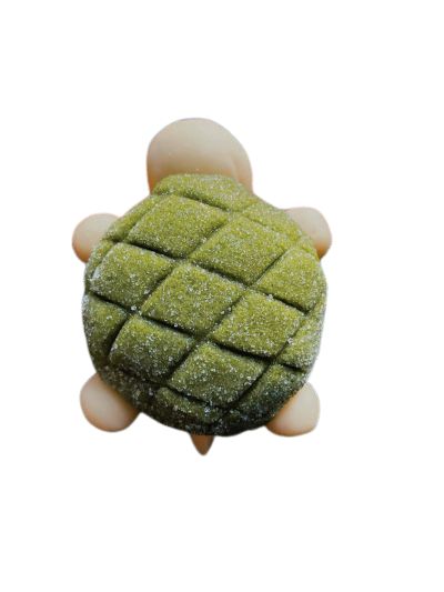 bread turtle! Turtle Bread, Bread Icon, Turtle Png, Turtle Drawing, Artist Alley, Journal Covers, Drawing Reference, Melon, Real Food Recipes