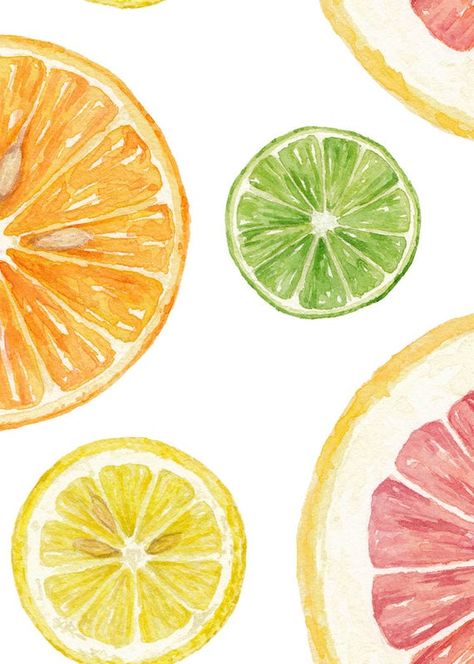 Grapefruit Illustration, Lime Watercolor, Citrus Food, Akvarel Illustration, Illustration Kunst, Lemon Art, Food Illustration Art, Watercolor Fruit, Illustration Food