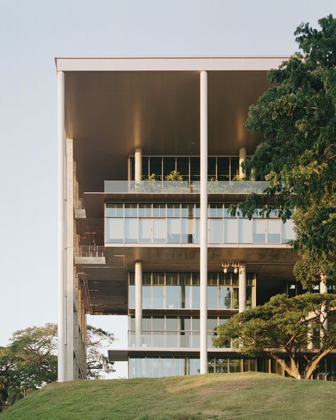 Gallery of NUS School of Design & Environment / Serie Architects + Multiply Architects + Surbana Jurong - 39 Design Studio Space, Zero Energy Building, Bauhaus Building, Singapore School, National University Of Singapore, Energy Efficient Buildings, Tropical Architecture, Natural Ventilation, Design Exterior