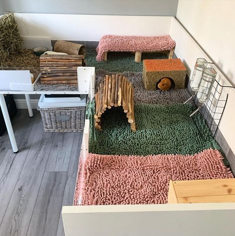 Indoor Guinea Pig Cage, Guine Pig, Guinea Pig Run, Diy Guinea Pig Cage, Guinea Pig Diy, Guinea Pig Hutch, Guinea Pig Accessories, Guinea Pig House, Pet Bunny Rabbits