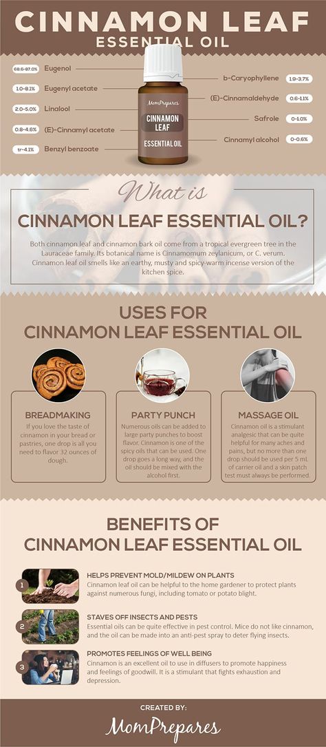 Cinnamon infographic Cinnamon Leaf Essential Oil Uses, Cinnamon Essential Oil Benefits, Cinnamon Oil Benefits, Nature Medicine, Oil Substitute, Cinnamon Bark Essential Oil, Healing Essential Oils, Essential Oils Guide, Cinnamon Oil