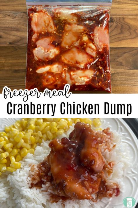 Dump Freezer Meals, Chicken Dump Dinners, Chicken Freezer, Crockpot Dump Recipes, Main Entree Recipes, Cranberry Chicken, Freezer Meal Planning, Crock Pot Freezer, Super Family