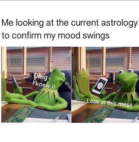 Memes Kermit, Witch Jokes, Funny Spiritual Memes, Astrology Humor, Horoscope Funny, Virgo Memes, Zodiac Funny, Zodiac Sign Traits, My Mood