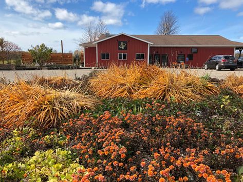 Enjoy A Farm-To-Glass Brewing Experience At This Unique Brewery In Michigan Michigan Food, Highbush Blueberry, Farm Field, Food Experiences, How To Make Beer, Beer Garden, Tasting Room, Brewing Co, Lake Michigan