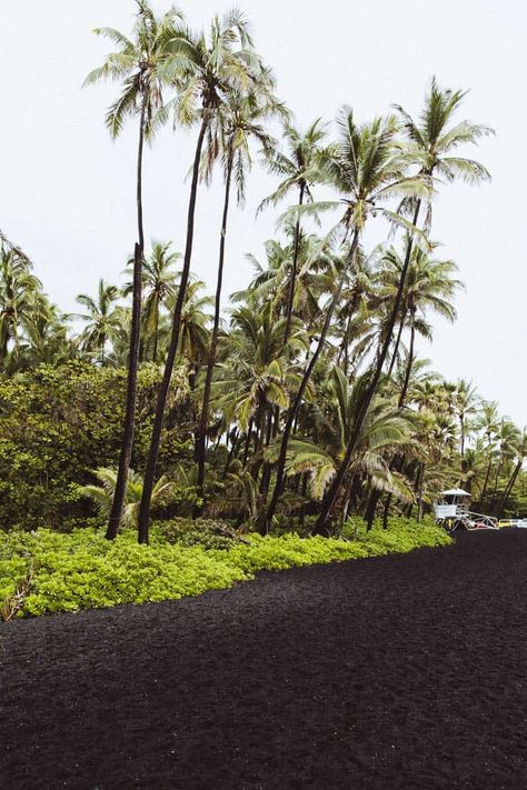 Punalu'u Black Sand Beach on The Big Island (Hawaii) Punaluu Beach, Big Island Hawaii Beaches, Kona Beaches, Honolulu Beach, The Big Island Hawaii, Green Sand Beach, Red Sand Beach, Hawaii Volcanoes National Park, Volcano National Park