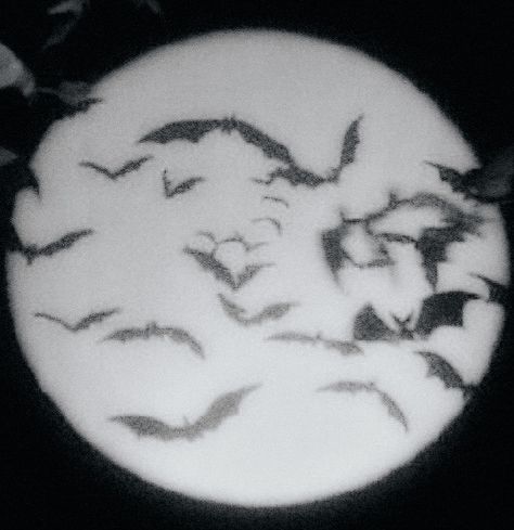 #moon #bats #blackaesthetic #nightmarebeforechristmas Halloween Album Cover, Bat Overlay, Bats In Love, Bats Aesthetics, Bats Aesthetic, Bat Pfp, Bat Aesthetic, Bat Icon, Moon With Bats