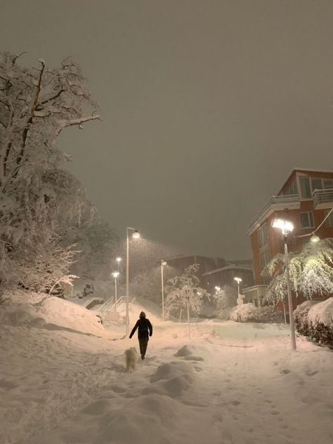 Winter In Stockholm, Stockholm Winter Aesthetic, Stockholm In Winter, Christmas Stockholm, Stockholm Snow, Stockholm Christmas, Winter Stockholm, Stockholm Winter, Russian Winter