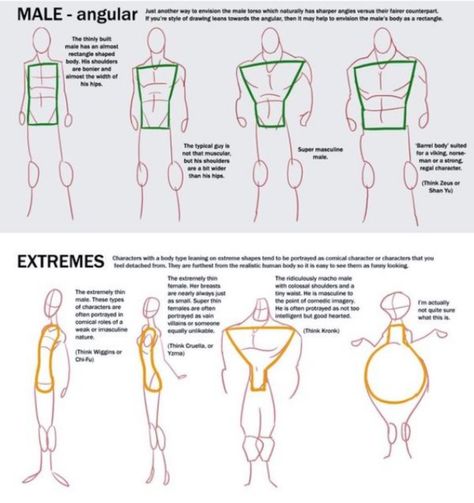 Male Body Guidelines, Man Body Proportions Drawing, Man Body Type Drawing, Simple Shapes Of The Male Torso, Simplified Torso Anatomy, Swim Model, Body Shape Drawing, Digital Art Software, Cartoon Body