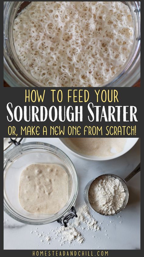 Dough Starter, Sourdough Bread Starter, Sourdough Starter Discard Recipe, Homemade Sourdough Bread, Bread Starter, Artisan Bread Recipes, Sourdough Starter Recipe, Sourdough Baking, Sourdough Bread Recipe