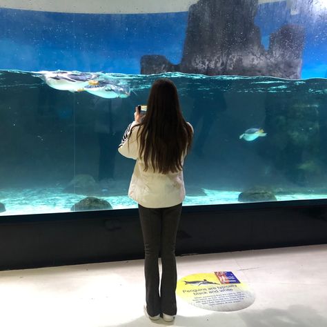 girl with brown hair wearing a white adidas puffer jacket and brown flare pants taking a photo of penguins in their enclosure at an aquarium. Aquarium Outfit Ideas Winter, Solo Pose Ideas, Instagram Post Aesthetic, Poses Winter, Cold Aesthetic, Brown Hair Girl, Instagram Post Ideas, Ideas Pose, Winter Instagram