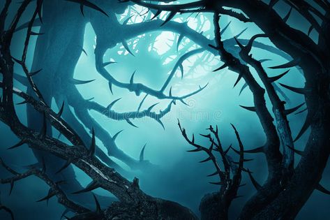 Dark forest with thorny bushes in green fog. At night , #SPONSORED, #thorny, #forest, #Dark, #bushes, #night #ad Thorny Bushes, Old English Alphabet, Alice In Wonderland 1, Ancient Korea, Dnd Crafts, Night Forest, English Alphabet, Forest Art, Cute Wallpaper For Phone