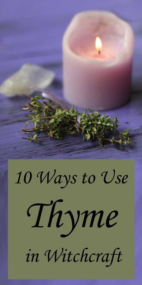 Thyme Uses, Thyme Essential Oil, Magickal Herbs, Witch Herbs, Herbs Garden, Green Witchcraft, Witch Stuff, Magic Herbs, Kitchen Witchery