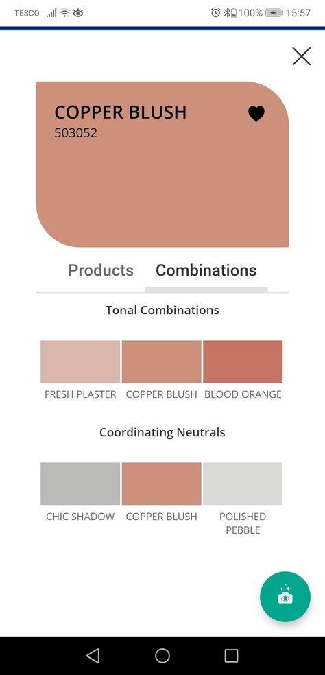 Copper Blush Living Room, Dulux Copper Blush Bedroom, Copper Blush Bedroom, Copper Blush Dulux Paint, Dulux Copper Blush, Bathroom Remake, Blush Bathroom, Blush Living Room, Chic Shadow