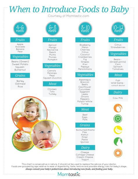 Solid Food Chart for Babies Aged 4 months through 12 months - Find age appropriate foods for all baby food stages on this simple to read baby food chart Food Chart For Babies, Baby Solid Food Chart, Baby Food Stages, Feeding Baby Solids, Baby Food By Age, Baby Solid Food, 4 Month Old Baby, Baby Feeding Chart, 4 Month Baby