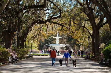 Savannah’s Top 12 Experiences – Fodors Travel Guide Savannah Georgia Travel, Georgia Travel Guide, Southern Georgia, Beautiful Places In America, Family Beach Trip, Places In America, Georgia Travel, Trip Planner, Ghost Tour