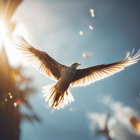 Birds Mood Board, Flying Birds Photography, Flying Bird Aesthetic, Birds Freedom, Bird Freedom, Birds Flying In The Sky, Bird Soaring, Birds Sunset, Freedom Bird