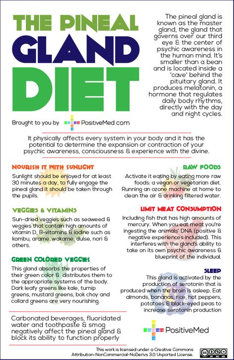 The Pineal Gland Diet Vagas Nerve, Healing Center, Pineal Gland, Human Mind, Mind Body Soul, Health Info, Holistic Healing, Yoga Flow, Spiritual Healing