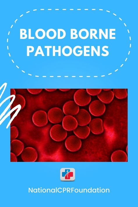 Are you a tattoo artist? Do you work in healthcare? Do you come in contact with blood? You may need BBP training. Certify with National CPR Foundation today. Bloodborne Pathogens Training, Bloodborne Pathogens, Body Tattoo, Bloodborne, High School Teacher, Cpr, A Tattoo, School Teacher, Tattoo Artist